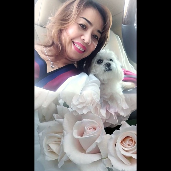 Maltese - Picture 15 of 16